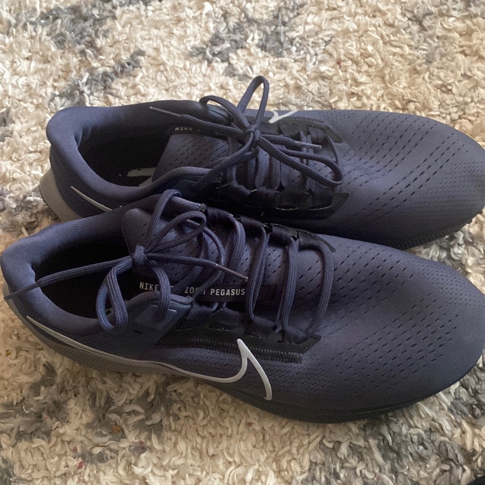 Nike Air Zoom Pegasus 30 shoes